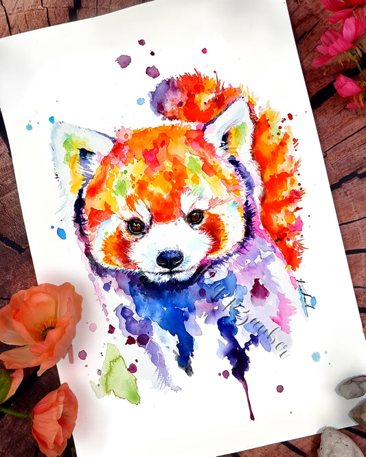 Roter Panda in bunt