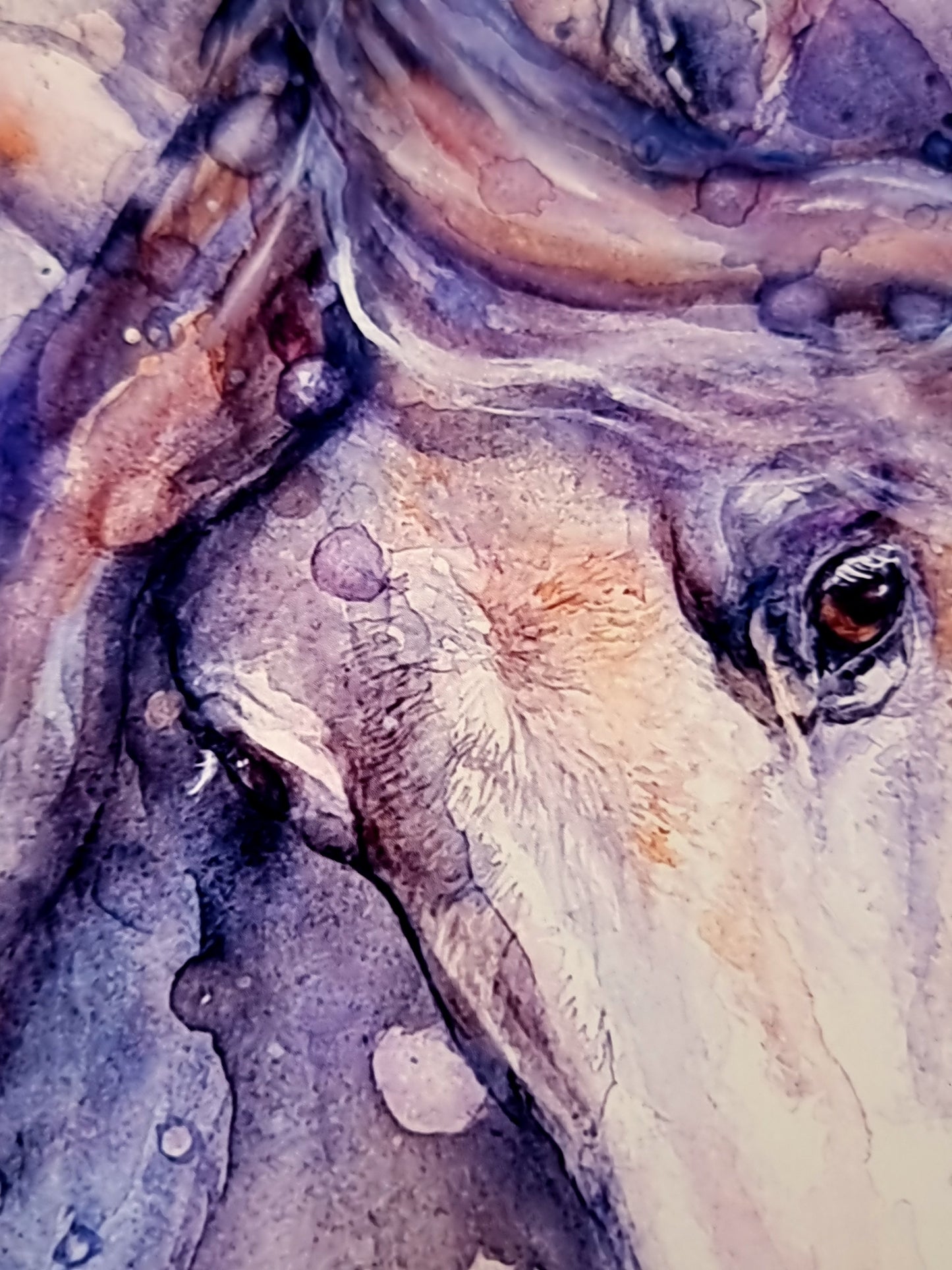 Pferdeportrait in Aquarell - Kunstdruck - Ria