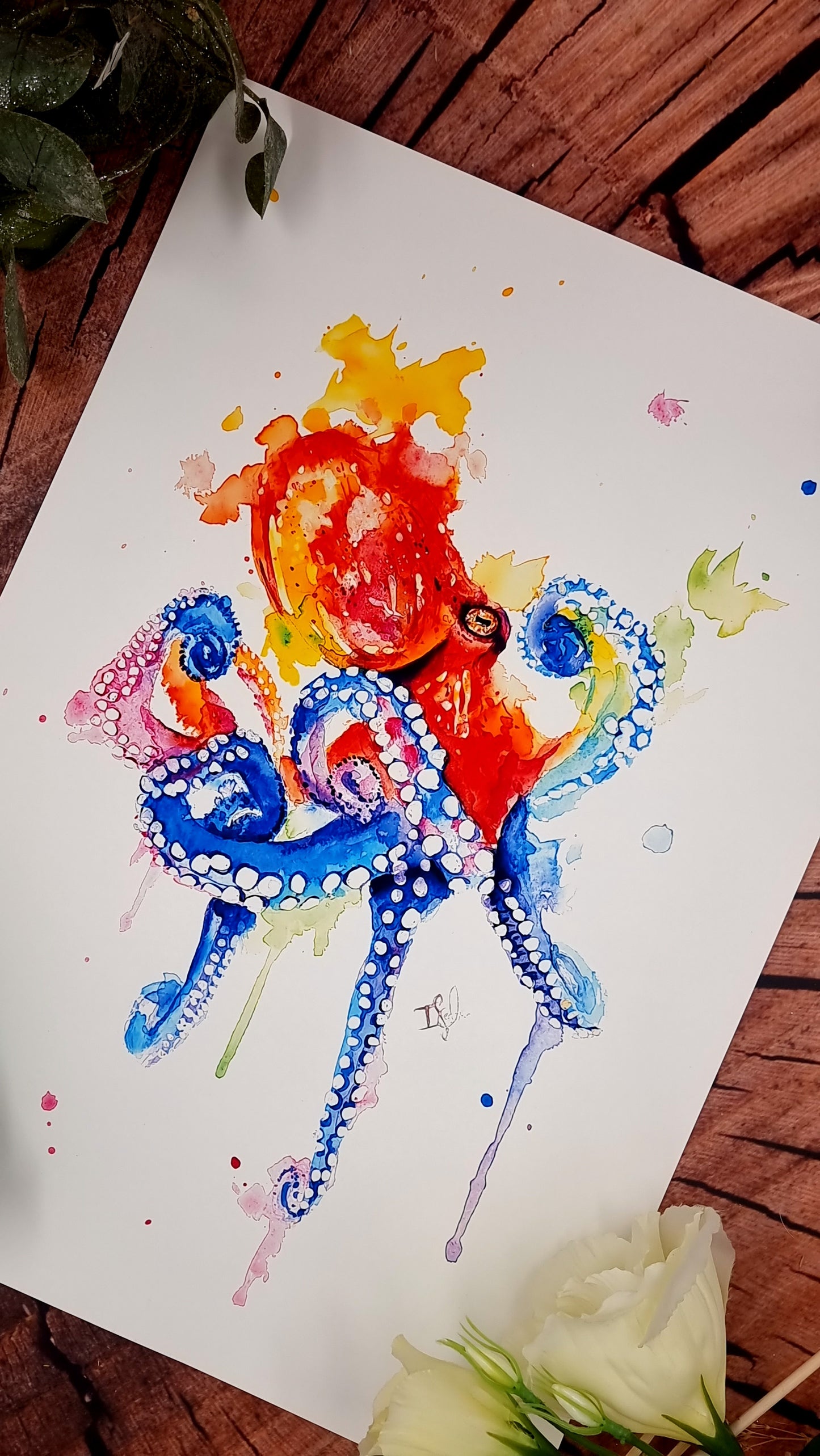 Oktopus in Aquarell - Kunstdruck - Paul