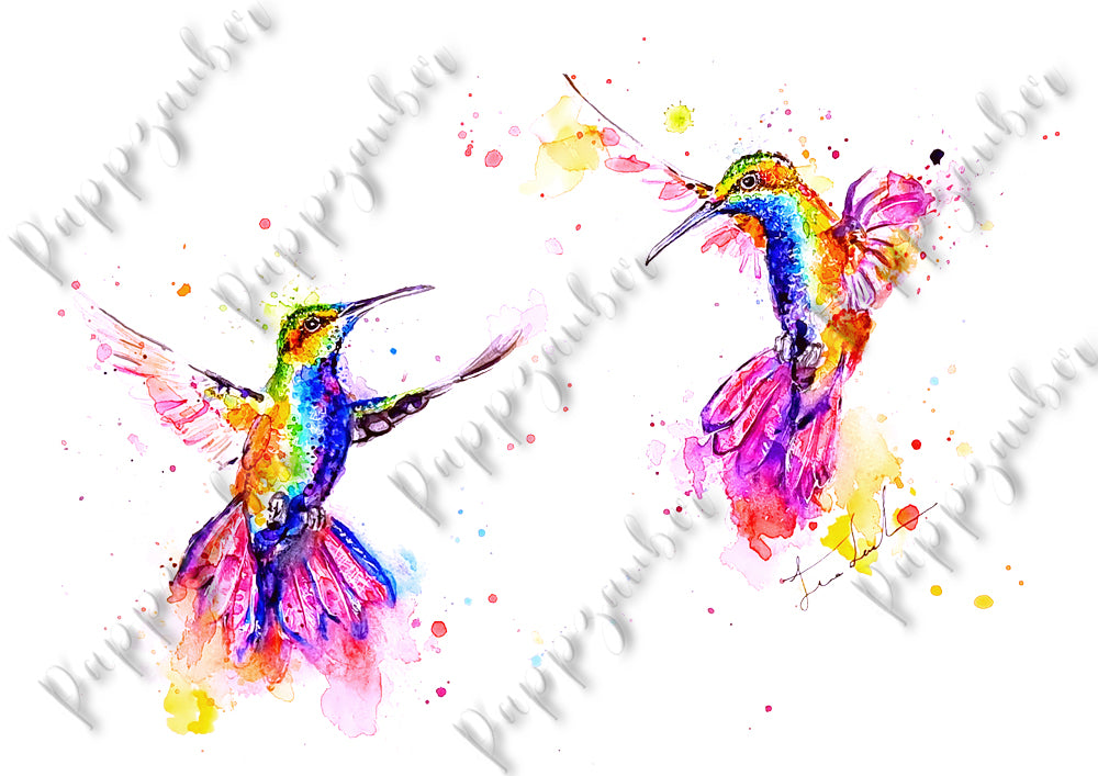 Zwei Kolibris in Aquarell - Kunstdruck  - Zwei Liebende