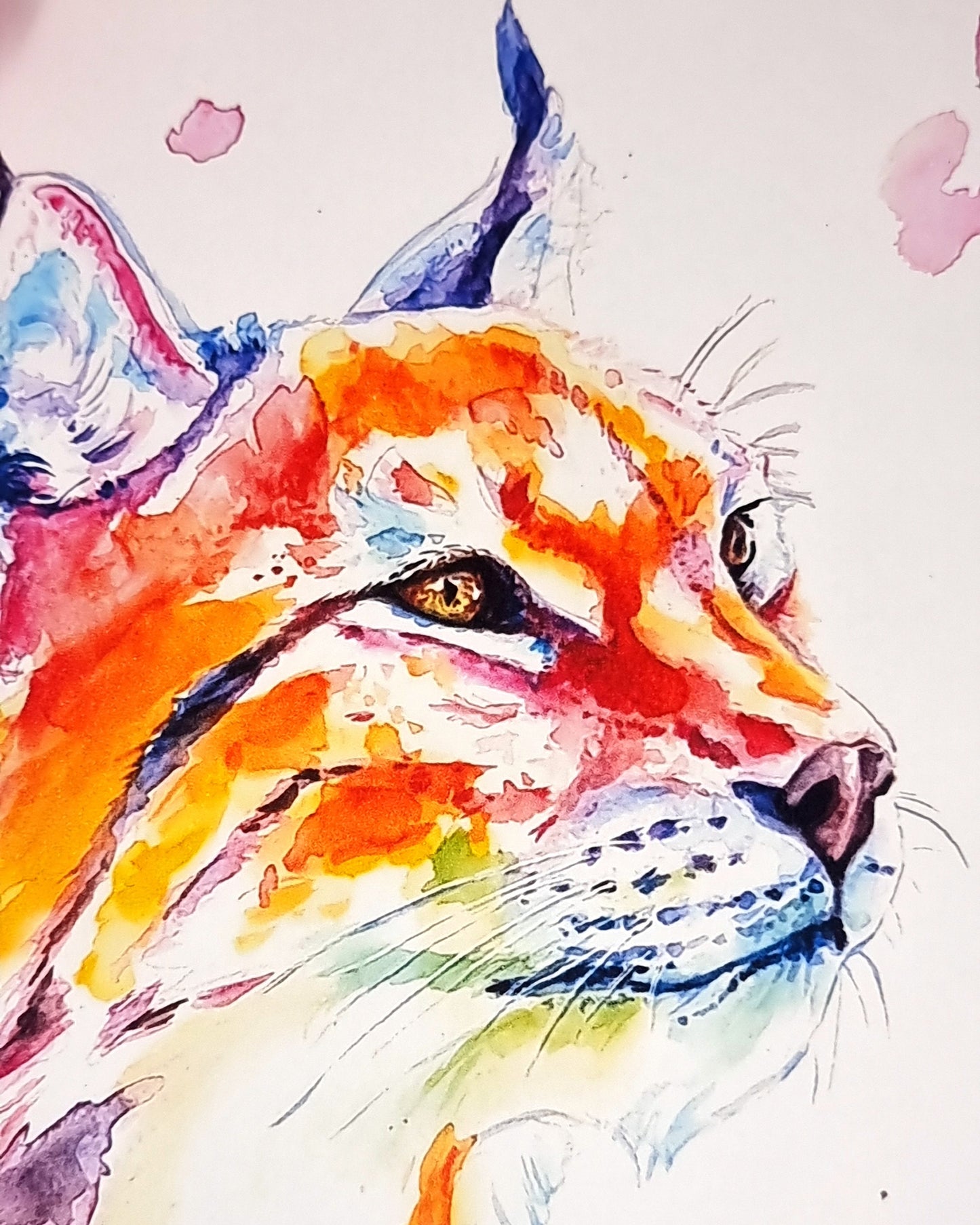 Farbenfroher Luchs in Aquarell - Kunstdruck - Luchs Phileas