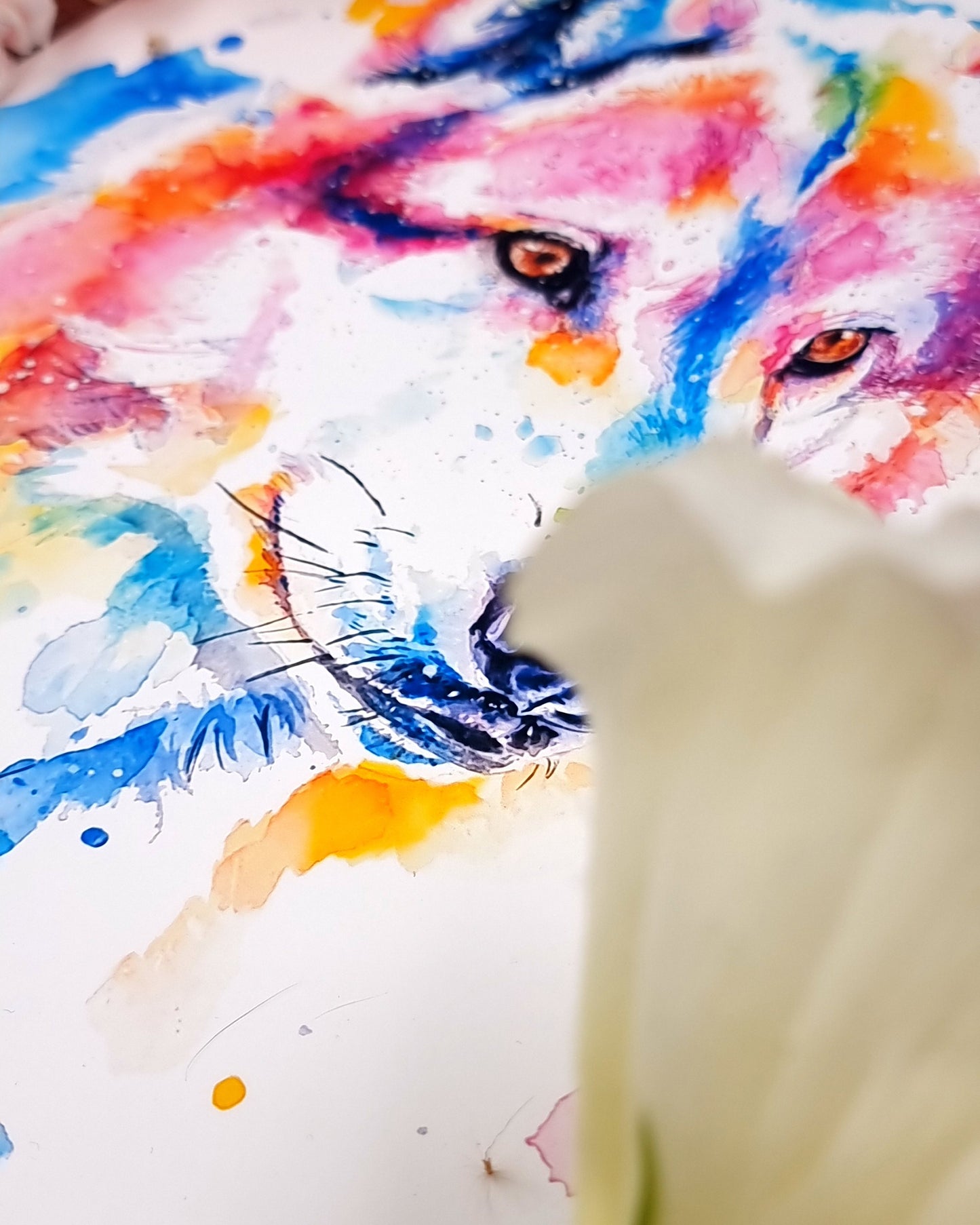 Wolf in Aquarell - Kunstdruck - Suna